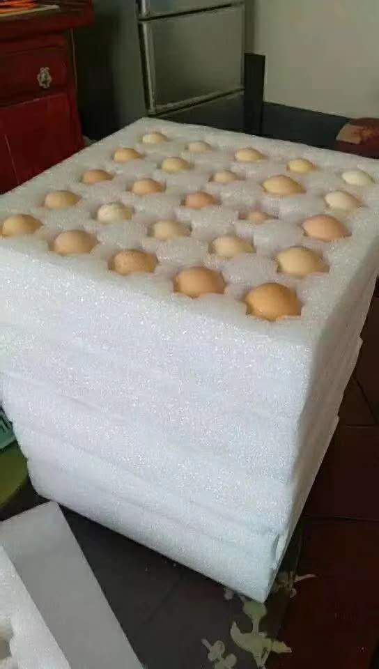 珍珠棉内衬包装
